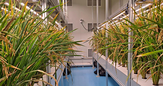 中国农科院都市农业研究所种子加速器项目